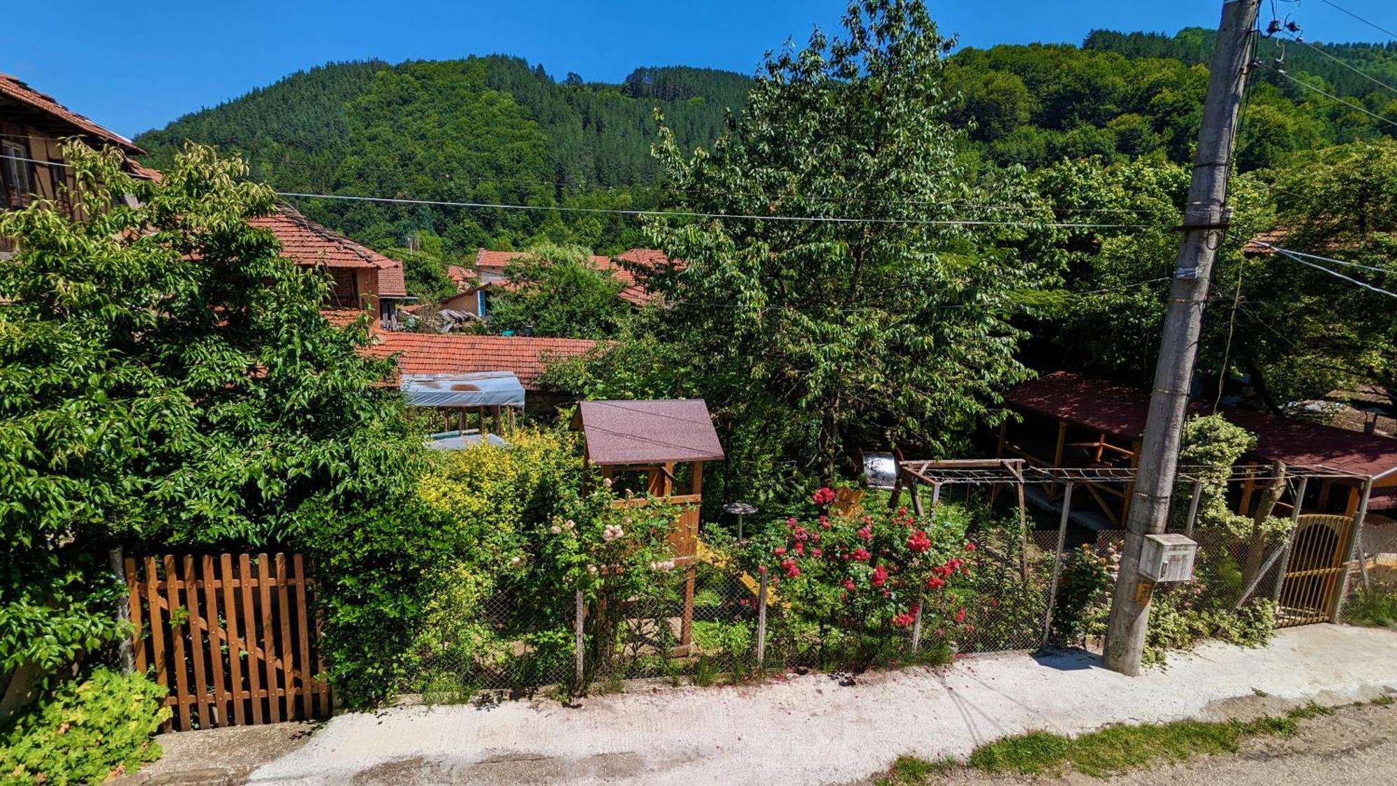 Pamir Guest House شيبكوفو المظهر الخارجي الصورة