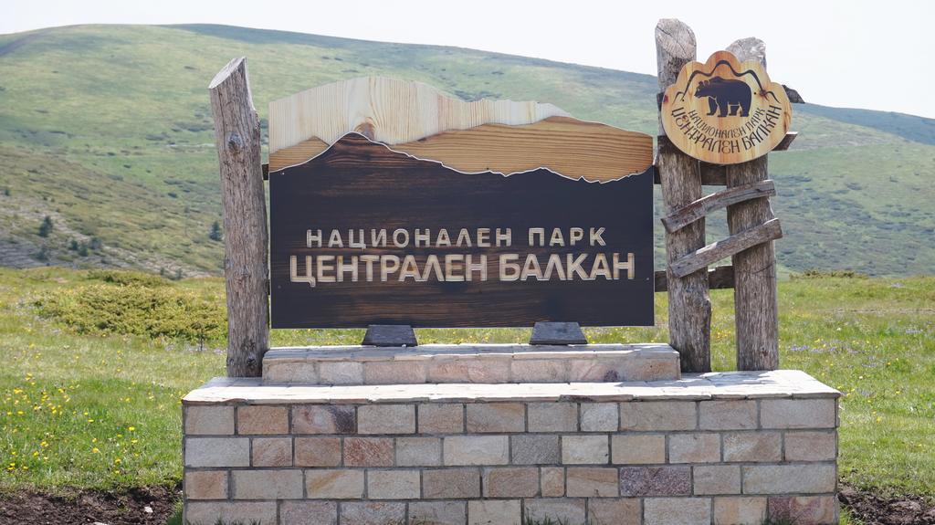 Pamir Guest House شيبكوفو المظهر الخارجي الصورة